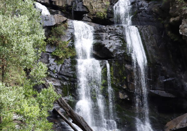 Stevensons Falls